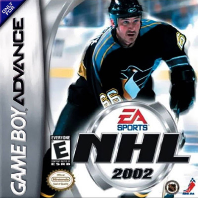NHL 2009 (игра для игровой приставки GBA)