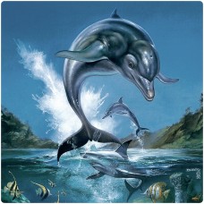 Ecco the Dolphin получит совершенно новую игру.