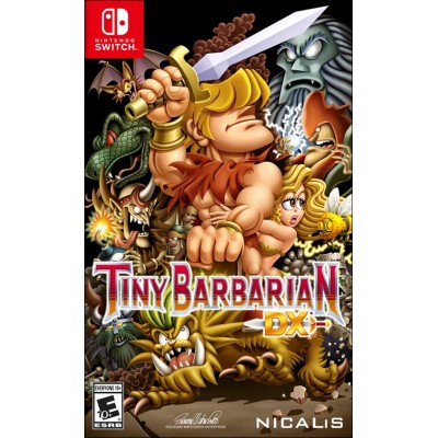 Tiny Barbarian Dx (Nintendo Switch)
