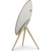 Акустическая система Bang & Olufsen Beosound A9 5th Generation, Gold Tone